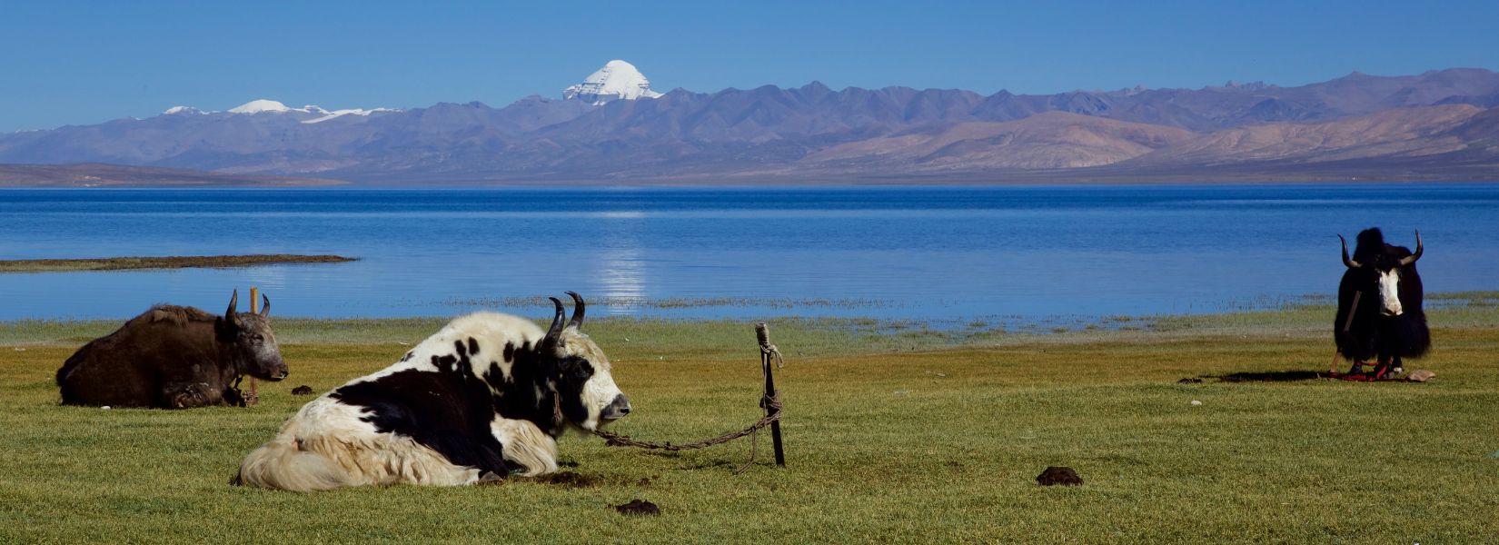 Lake Mansarovar