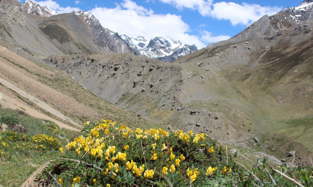 adi-kailash-yatra-by-helicopter 2